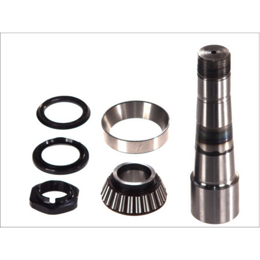 Ремкомплект шкворня VOLVO/RVI Euro 5 с подшипником 20390834/85108338 40x60x227