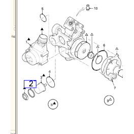 Сальник термостата  (кільце )VOLVO B9/B7/B10, RENAULT, DAF, IVECO, MAN Ø67.5*56/6.4...