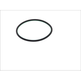 Кольцо уплотнительное форсунки MB/DAF 0239976548