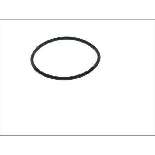 Кольцо уплотнительное форсунки MB/DAF 0239976548