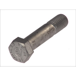 Болт амортизатора М24x110x8,8 SW36