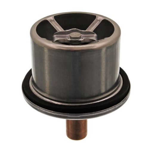 Термостат DAF