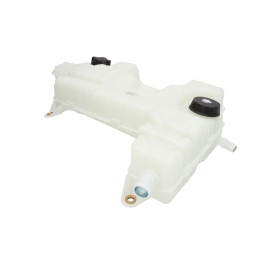 Бачок расширительный RVI Midlum/ DAF LF45/55
