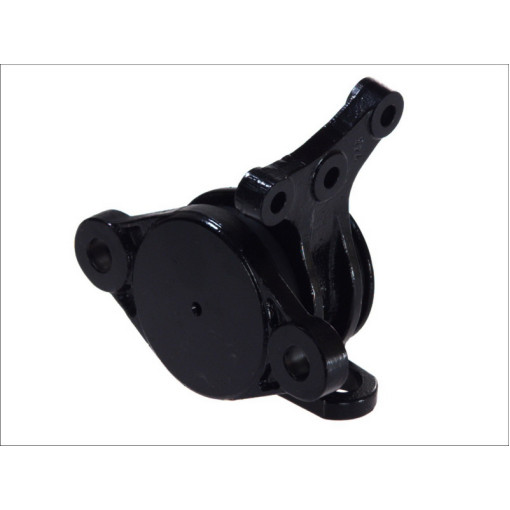 Подушка двигателя RVI передняя левая 5010316591