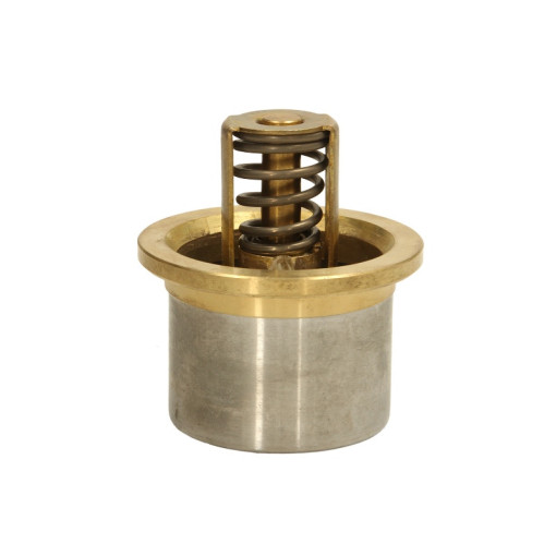 Термостат RVI/MIDLINER, MIDLUM, PREMIUM 720-T4.38 10.82- 5000691267
