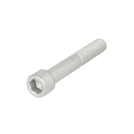 Болт кріплення тормозного диска MAN M16x1,5x100