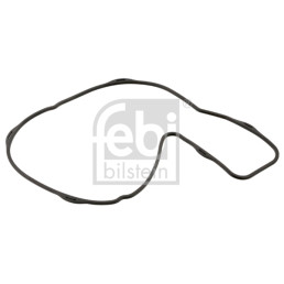 Прокладка насоса водяного Volvo FH/FM/FMX/NH 8131097 21415427 RVI DXi11/13 7421415427