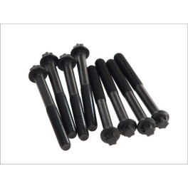 Болти ГБЦ к/кт MAN D0824/D0826 S14x140x2.0 (8) 51900200356 51900200284