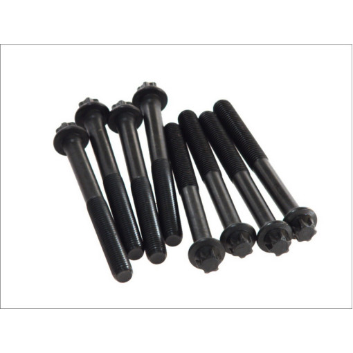 Болти ГБЦ к/кт MAN D0824/D0826 S14x140x2.0 (8) 51900200356 51900200284