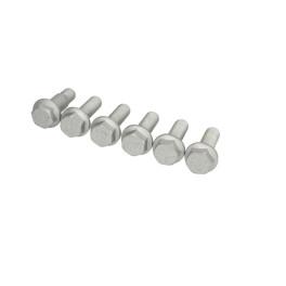 Комплект болтов крепления суппорта M16x1,5/D19x5 а (6 шт.) SAF