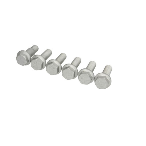 Комплект болтів кріплення супорта M16x1,5/D19x5 а (6 шт.) SAF