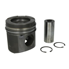 Поршень двигателя MAN F2000/TGA (d=128.00 50x107) D2876 Euro 3 с пальцем и кольцами 51025117346