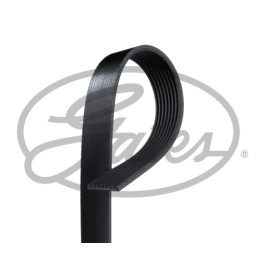 Ремень ручейковый 8PK1920 MAN TGA
