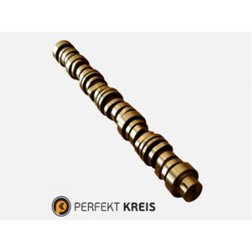 Распредвал Renault Magnum E-3 454GC5232A J-