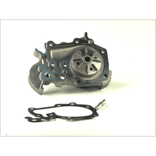 Помпа водяная Renault Kangoo Dacia 1.6B/8V