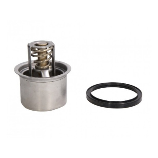 Термостат Renault Magnum