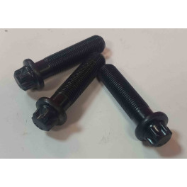 Болт крышки корпуса суппорта WABCO PAN17/PAN19 для MANL2000/DAF 45 /RVI Midlum M10x1x40