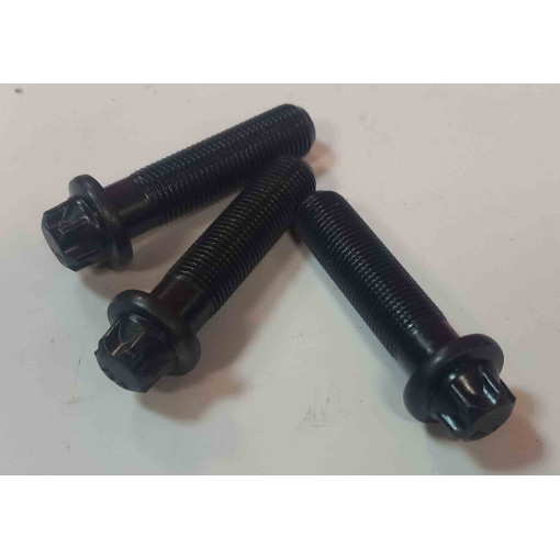 Болт кришкиа супорта WABCO PAN17/PAN19 для MANL2000/DAF 45 /RVI Midlum M10x1x40