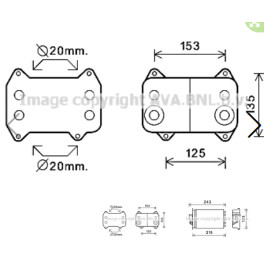 Маслянный радиатор DAF (112x90x202mm) DAF CF 85, XF 95 MX265-XF355 1667565