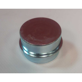 Заглушка пальца суппорта WABCO PAN19-1/PAN19-2 42x29