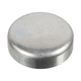 Заглушка ГБЦ DAF 65, 65 CF, 75, 75 CF, 85, 85 CF, 95, 95 XF D=32 mm
