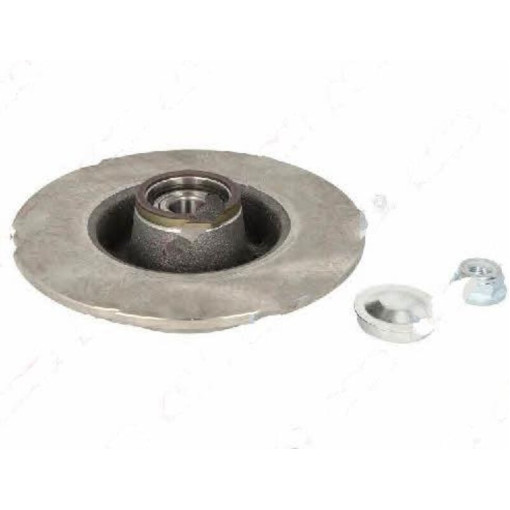 Диск тормозной задний левый/правый с подшипником (з вбудованим кільцем імпульсів DACIA SANDERO II; NISSAN NOTE; RENAULT CLIO III, MEGANE II, MODUS, TH