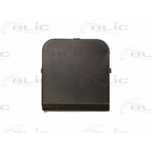 Заглушка буксирувального гака Передн , TUV) NISSAN QASHQAI 04.10-11.13 Елементи бампе