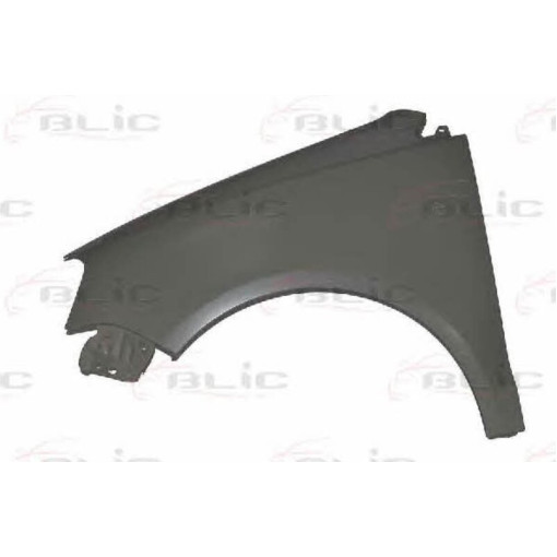 Крило переднє ліве VW POLO 04.05-11.09
