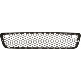 Решітка бампера Передн (середн, нижн, чорн) BMW X5 02.07-04.10 Елементи бампера