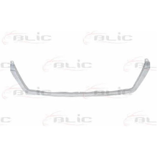 Молдинг решітки Mercedes SPRINTER 04.00-05.06 Елементи решітки