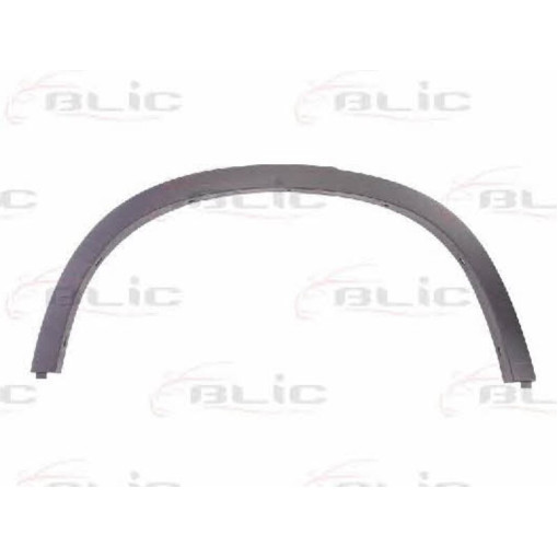 Молдинг крила переднього правого (чорн) BMW X1 10.09-06.15 Накладки / молдинги кузова