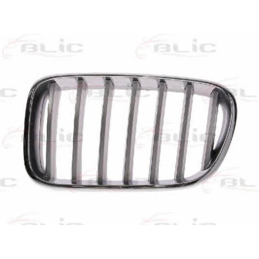 Решітка радіатора лівий (титан) BMW X3, X4 09.10-05.18