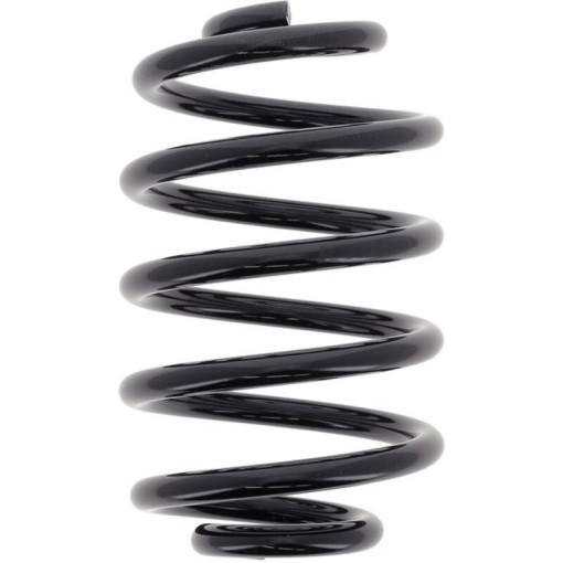 Пружина підвіски задня лів/прав (стандарт) RENAULT CLIO II 1.2-1.9D 09.98- Пружина, тил