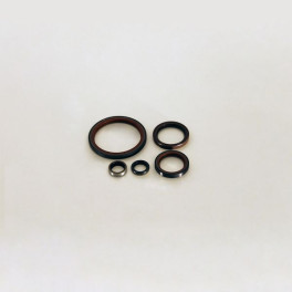 Ущільнення маточини к/кт КПП ECOMID 9S109/16S109/6S150C/8S140 ZF 1304298908