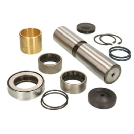 Ремкомплект шкворня RVI MAGN,PR/MJ 50X225 5010056002, LE804 (5010630994)