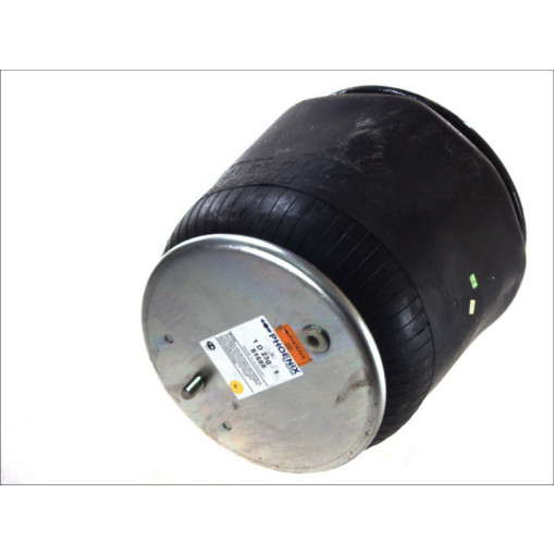 Пневморесора передня DAF 105 euro3 в зборі