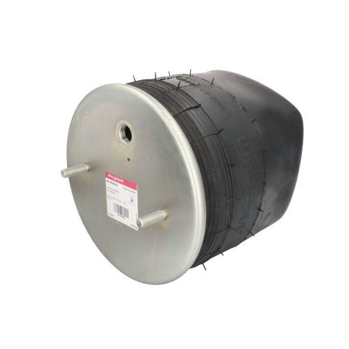 Пневмоподушка