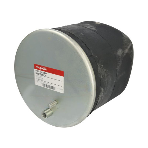 Пневмоподушка