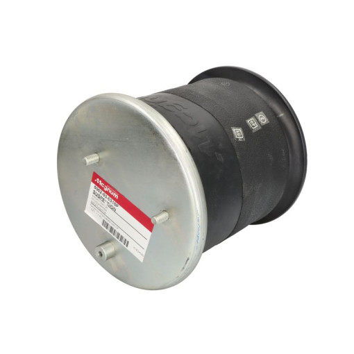 Пневмоподушка