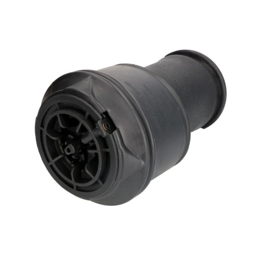 Пневмоподушка