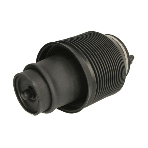 Пневмоподушка підвіски задня права LEXUS GX; TOYOTA 4 RUNNER IV, LAND CRUISER PRADO 3.0D/4.0/4.7 11.01-12.10