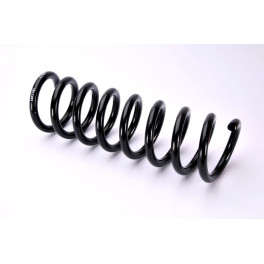 Пружина підвіски