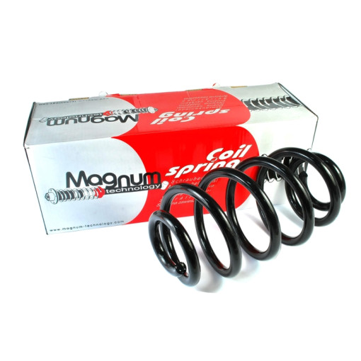 Пружина підвіски