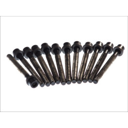 Болт головки цилиндра VOLVO 850, S70, S80 I, V70 I, V70 II; AUDI 100 C2, 100 C3, 100 C4, 80 B4, A3, A4 B5, A6 C4; FORD GALAXY I; VW CALIFORNIA T4 CAMP