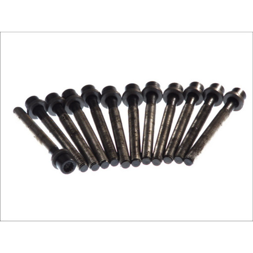 Болт головки цилиндра VOLVO 850, S70, S80 I, V70 I, V70 II; AUDI 100 C2, 100 C3, 100 C4, 80 B4, A3, A4 B5, A6 C4; FORD GALAXY I; VW CALIFORNIA T4 CAMP