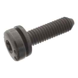 Болт коробки передач M6 ZF 5 HP 19 HLA; 6 HP 19 A; 6 HP 19 X SW; 6 HP 26 LAENGS; 6 HP 32 A SW; 8 HP 70 X; 8 HP 70 X SW fits: AUDI A4 B5, A4 B6, A4 B7,