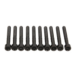 Болт опоры распредвала AUDI A3, A4 B5, A4 B6, A4 B7, A6 C5; FORD GALAXY I; SEAT ALHAMBRA, ALTEA, ALTEA XL, CORDOBA, IBIZA III, IBIZA IV, IBIZA IV SC,