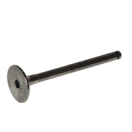 Клапан впускной VOLVO S40 I, V40; RENAULT CLIO I, CLIO II, KANGOO, KANGOO EXPRESS, THALIA I 1.9D 01.91- 35x8x110,1