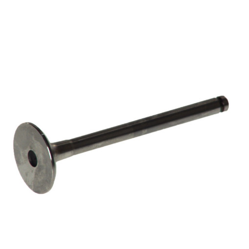 Клапан впускной VOLVO S40 I, V40; RENAULT CLIO I, CLIO II, KANGOO, KANGOO EXPRESS, THALIA I 1.9D 01.91- 35x8x110,1