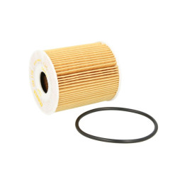 Фільтр оливи AUDI A3, A6 C7, A7, A8 D4, Q5, Q7; CHRYSLER NEON II, PT CRUISER; FIAT 500X, LINEA, TIPO; JEEP RENEGADE; MINI (R50, R53), (R52); NISSAN 370Z; PORSCHE CAYENNE 1.6-3.7 06.01-